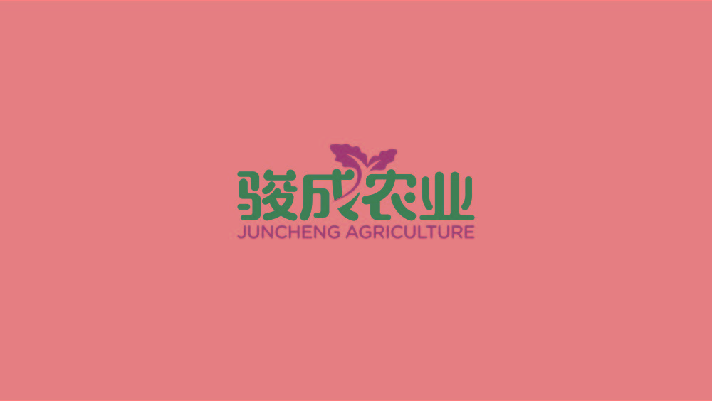 1607072599523223.jpg