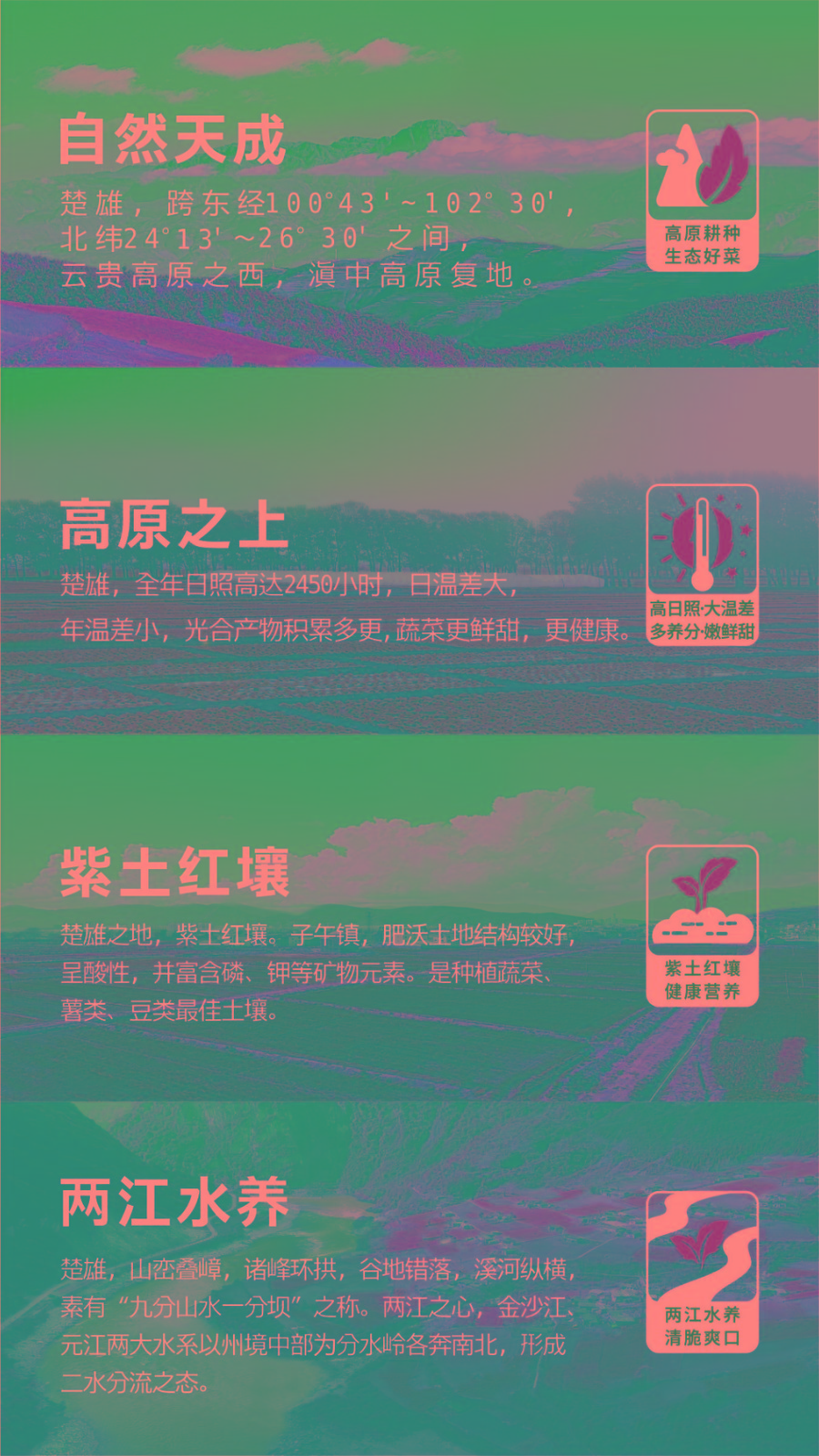 1607072600927937.jpg